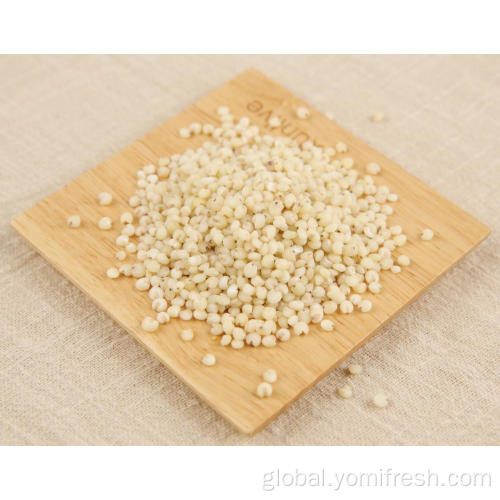 Sorghum Rice Grain Sorghum Rice Grain Factory